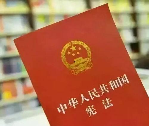 汕尾日报爆料新闻视频,揭秘重大新闻事件背后的真相